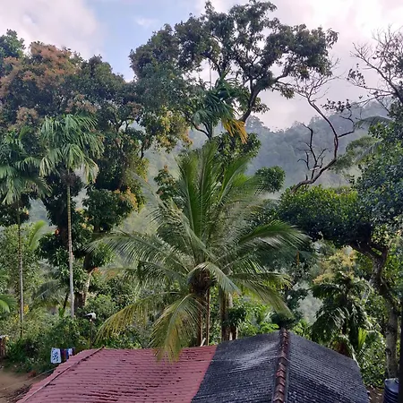 Forest Rawana Homestay Ella Exterior photo