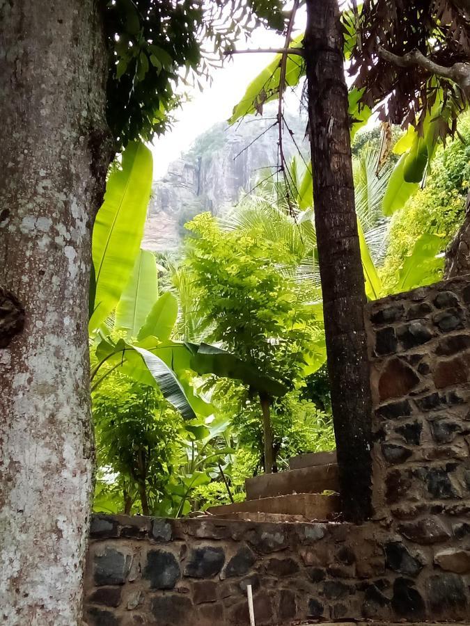 Homestay Forest Rawana