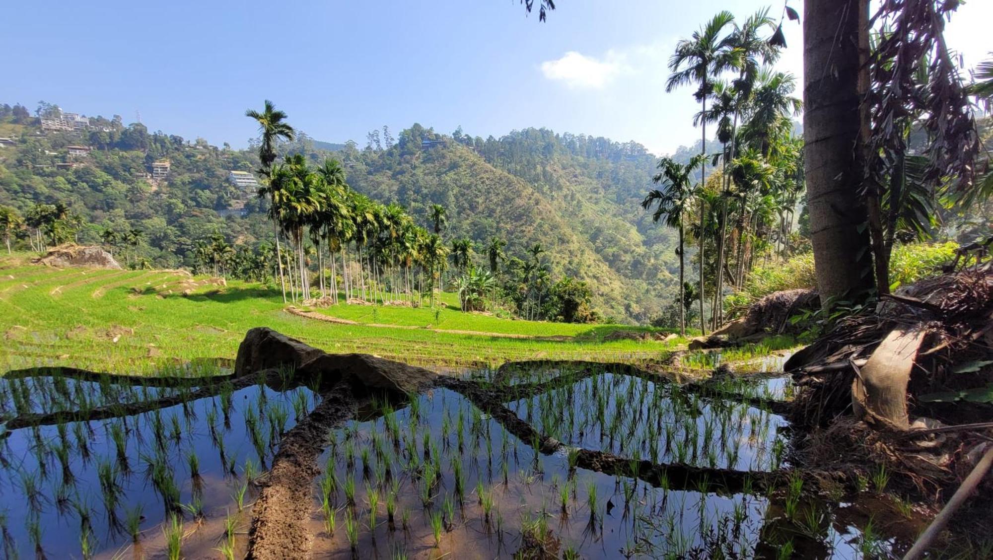 Homestay Forest Rawana Ella