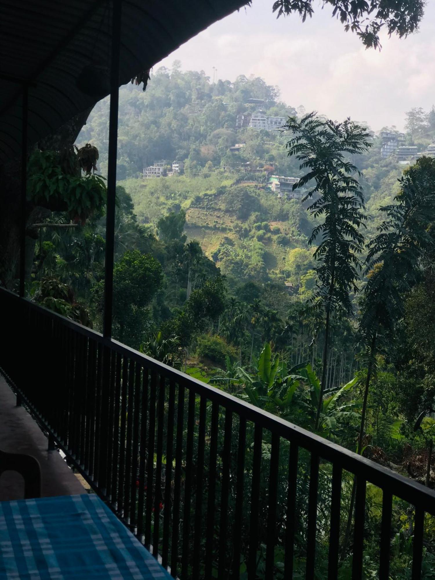 Homestay Forest Rawana