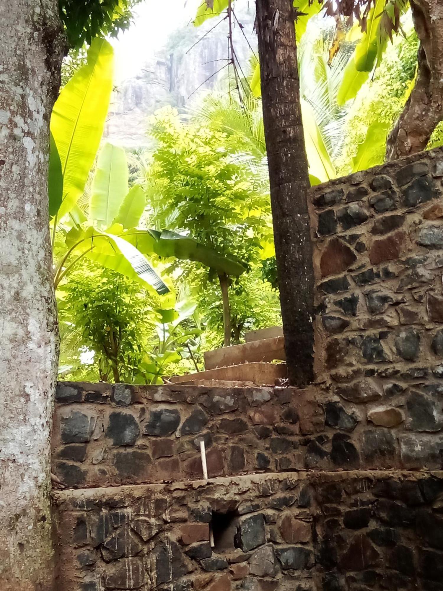 Forest Rawana Homestay *