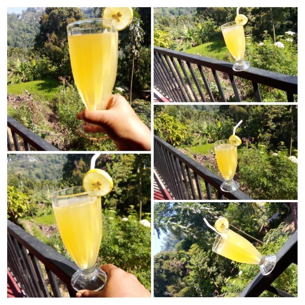 Homestay Forest Rawana