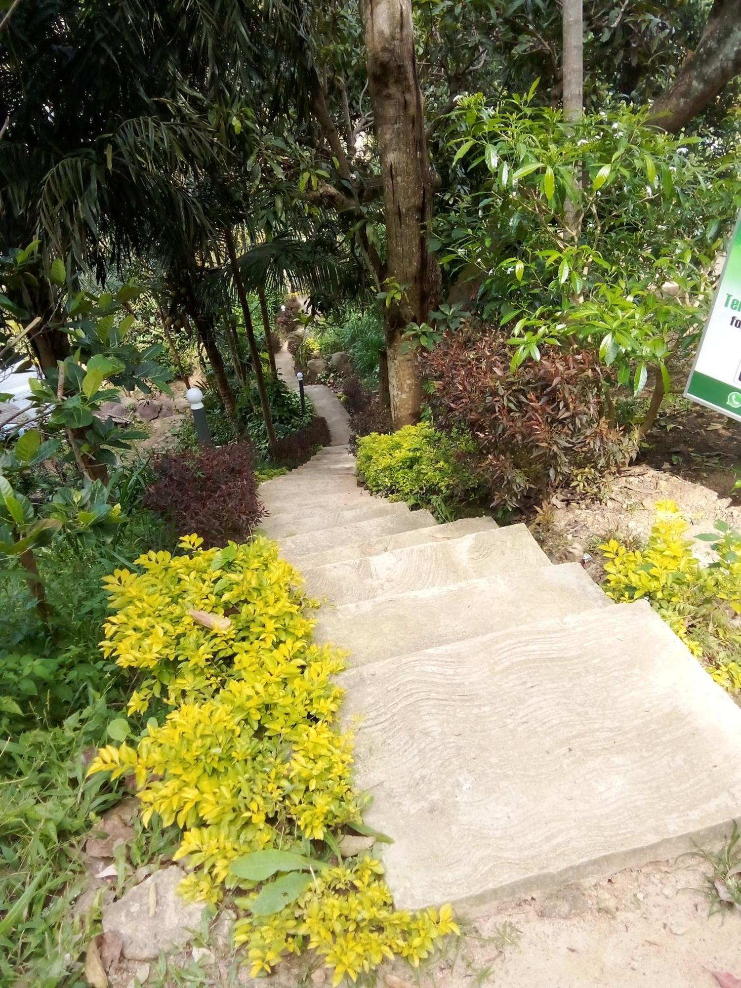 Homestay Forest Rawana