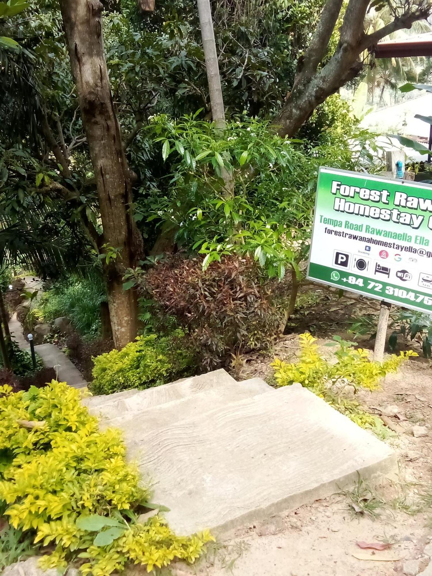 Forest Rawana Homestay *